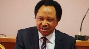 Shehu Sani Mocks FG for Claiming to Have Lifted 25 Million Nigerians Out of Poverty with Just 25k