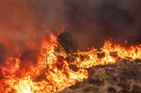 A new fast-growing fire near Los Angeles has prompted the evacuation of thousands of residents.