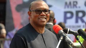 Peter Obi: Labour Party Will No Longer Field Opportunists as Candidates