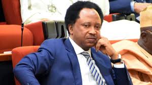 Shehu Sani Urges President Tinubu to Avoid Nepotism in Key Appointments.