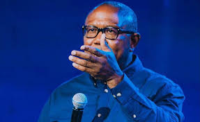 Peter Obi Urges Swift Federal Action Amid Escalating Insecurity in Borno’s Marte Region.