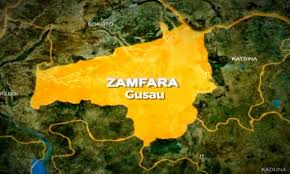 Zamfara APC Demands Dialogue Over Court Action Against Parallel Assembly Members