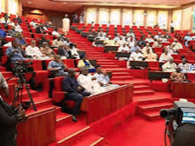 Senate Considers 31 New State Creation Requests, Pushes for Local Government Autonomy